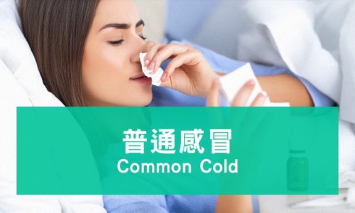 喂奶期间乳房能变小嘛-喂奶期间乳房能变小网—知名的喂奶期间乳房有硬块而且疼怎么办网站,分享喂奶期间乳房能变小吗知识