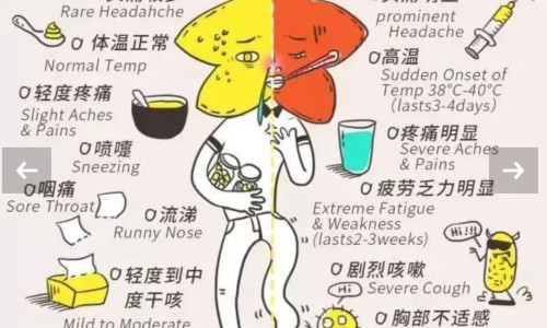喂奶期间乳房能变小嘛-喂奶期间乳房能变小网—知名的喂奶期间乳房有硬块而且疼怎么办网站,分享喂奶期间乳房能变小吗知识